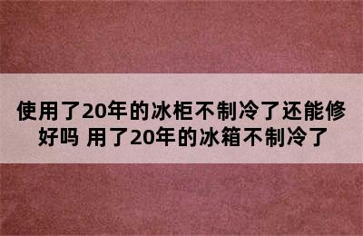 使用了20年的冰柜不制冷了还能修好吗 用了20年的冰箱不制冷了